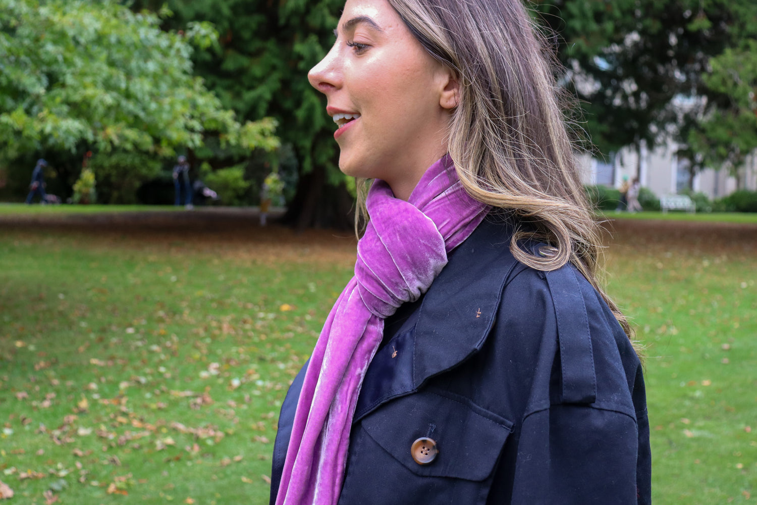 Classic Silk Velvet Scarf Damson