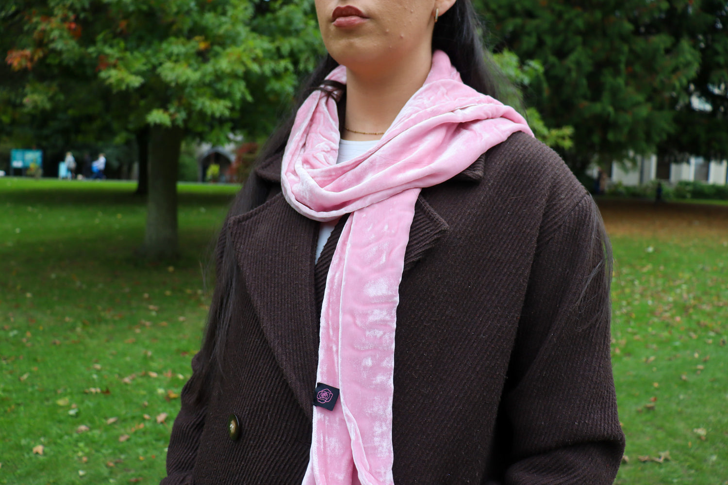 Classic Silk Velvet Scarf Sugar